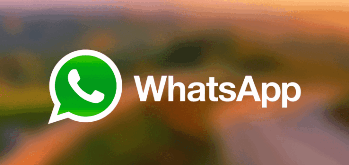 Come risparmiare dati durante le chiamate di Whatsapp