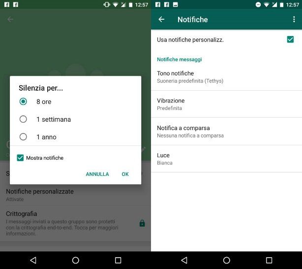 Come silenziare una chat su WhatsApp